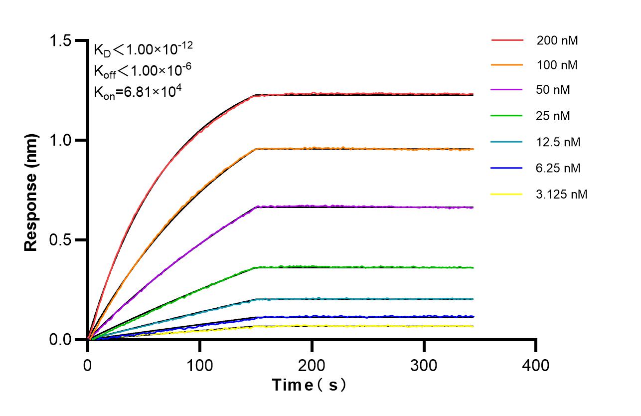 Affinity and Kinetic Characterization of 98705-2-RR