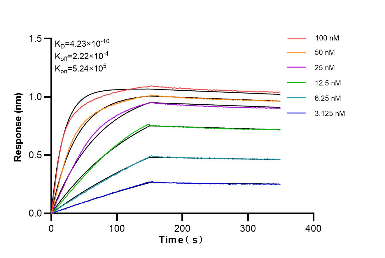 Affinity of 98709-3-RR