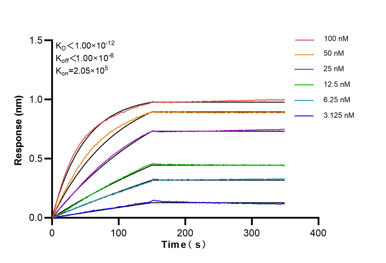 Affinity of 98744-1-RR Affinity of 98744-1-RR