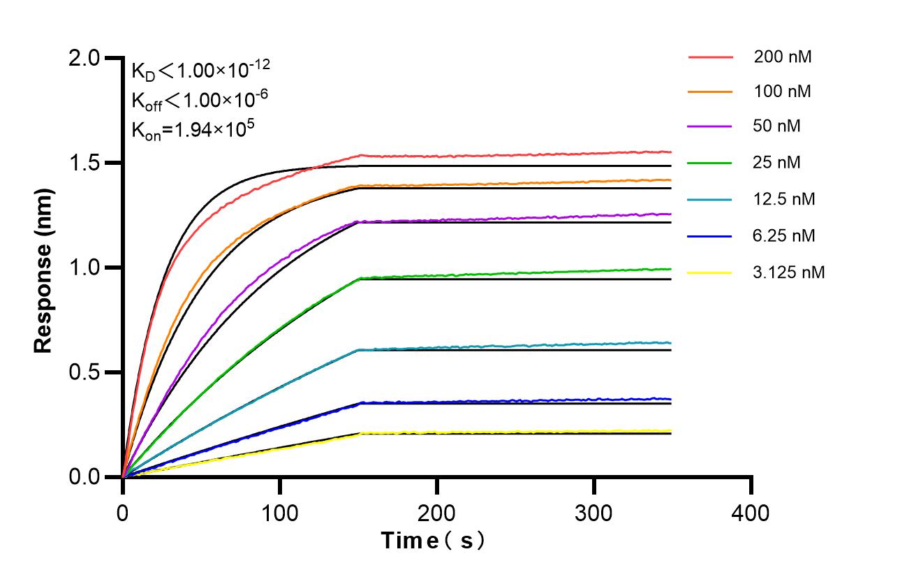 Affinity of 98824-2-RR