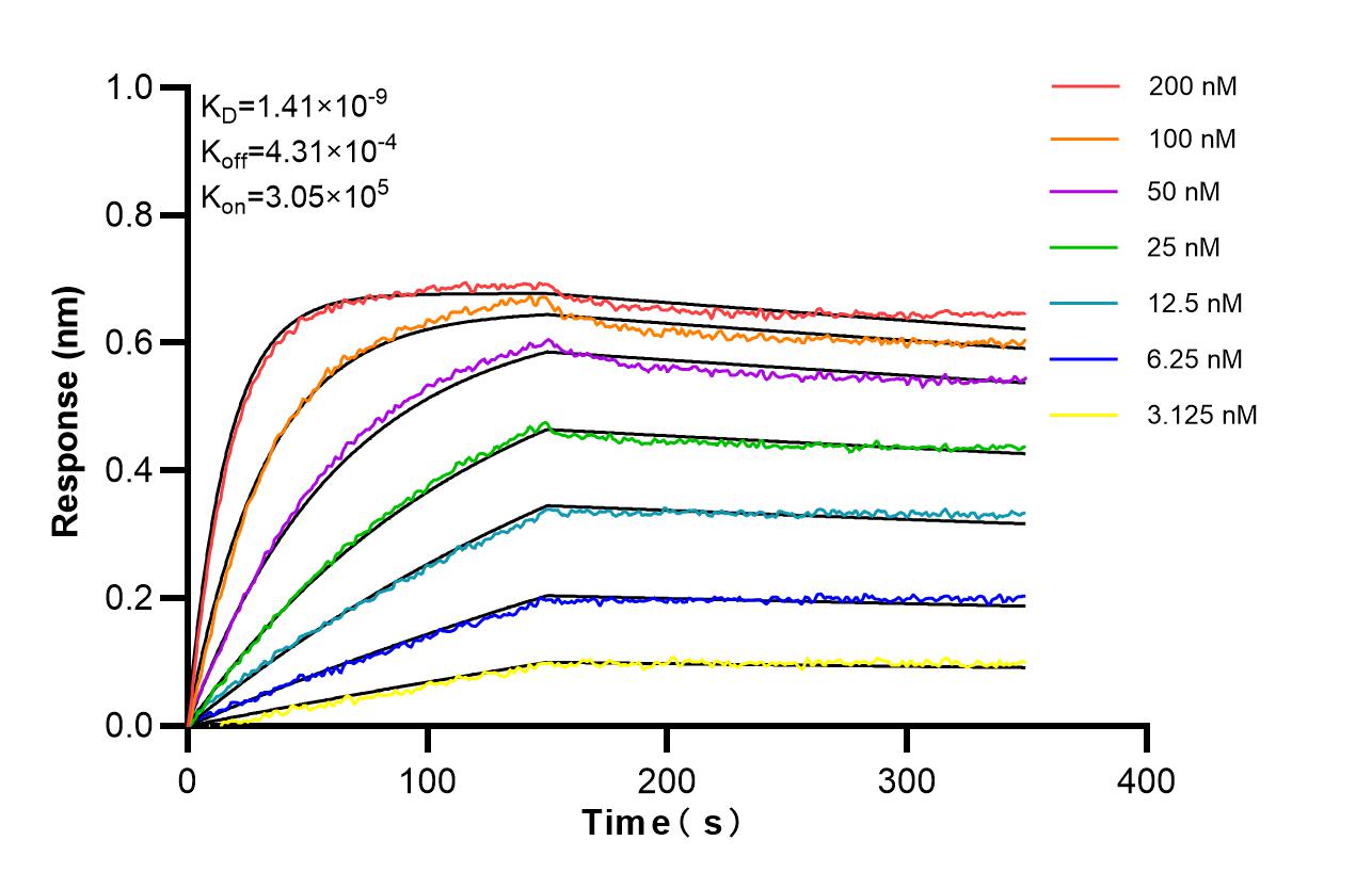 Affinity and Kinetic Characterization of SF65666-1-TR Affinity and Kinetic Characterization of SF65666-1-TR