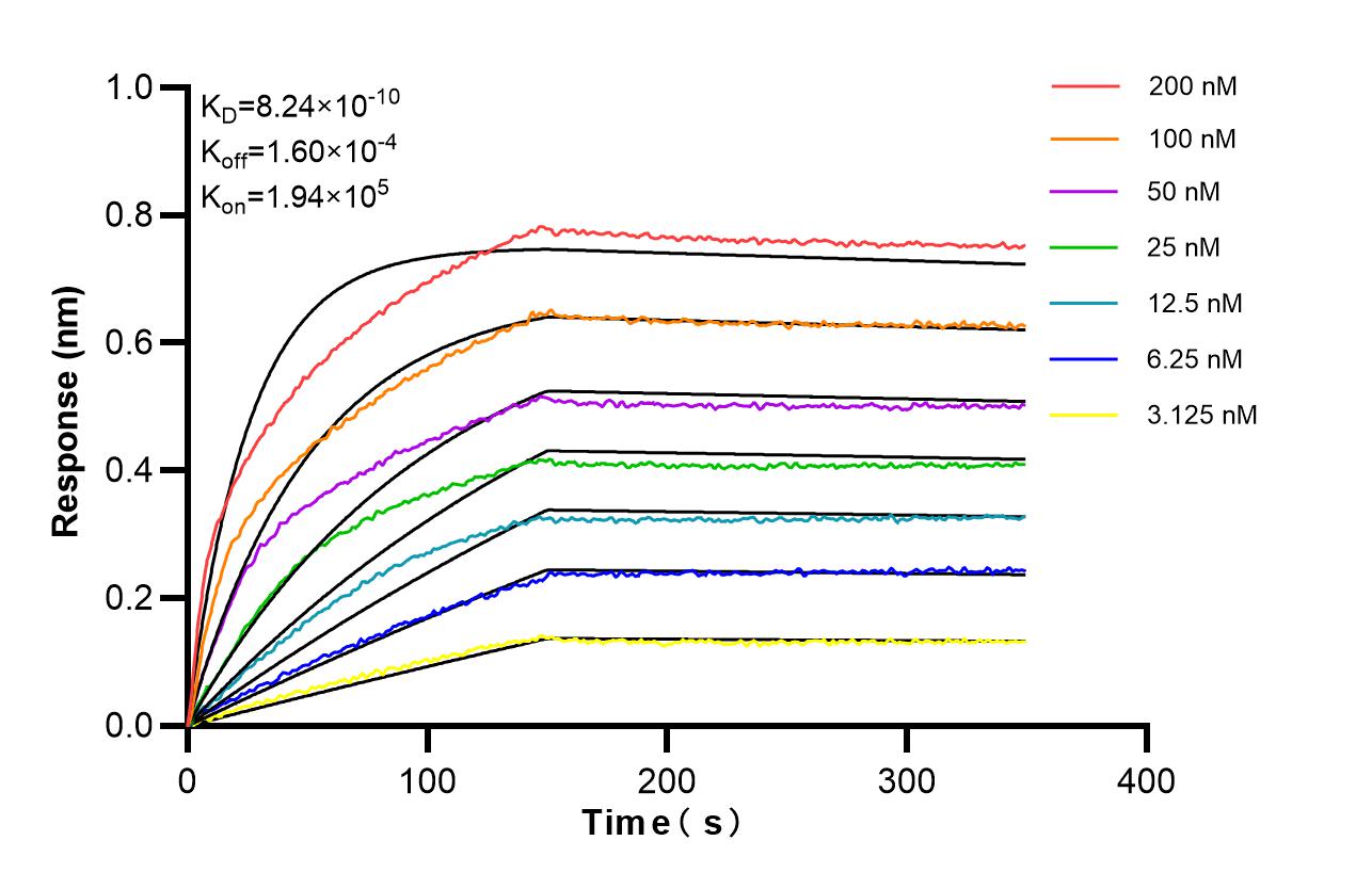 Affinity and Kinetic Characterization of SF98042-1-RR Affinity and Kinetic Characterization of SF98042-1-RR