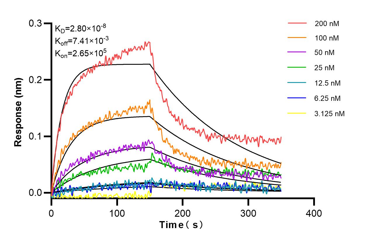 Affinity and Kinetic Characterization of SF98470-2-RR Affinity and Kinetic Characterization of SF98470-2-RR