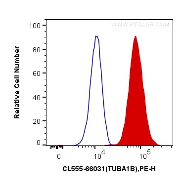 Flow cytometry (FC) experiment of HeLa cells using CoraLite®555-conjugated Alpha Tubulin Monoclonal a (CL555-66031)