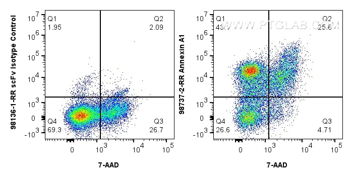 FC experiment of Jurkat using 98737-2-RR (same clone as 98737-2-PBS) Flow cytometry (FC) experiment of Jurkat cells using Anti-Human Annexin A1 Rabbit Recombinant Antibody (98737-2-RR)