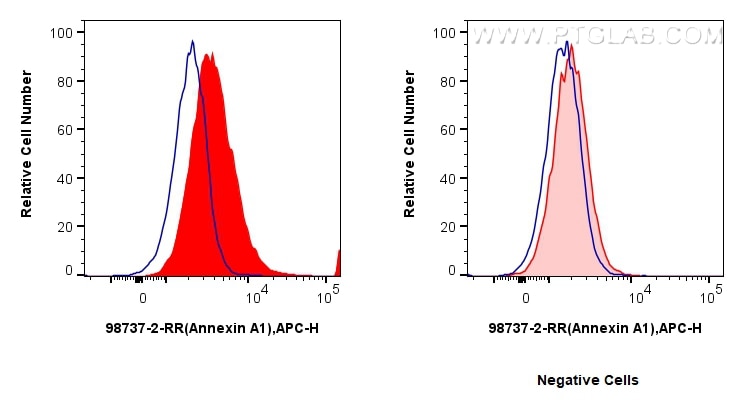 FC experiment of K-562 using 98737-2-RR (same clone as 98737-2-PBS) Flow cytometry (FC) experiment of K-562 cells using Anti-Human Annexin A1 Rabbit Recombinant Antibody (98737-2-RR)