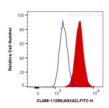 Flow cytometry (FC) experiment of K-562 cells using CoraLite® Plus 488-conjugated Annexin A2 Polyclona (CL488-11256)