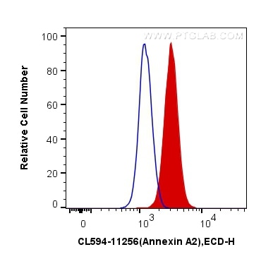 Flow cytometry (FC) experiment of K-562 cells using CoraLite®594-conjugated Annexin A2 Polyclonal anti (CL594-11256)