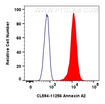 Flow cytometry (FC) experiment of K-562 cells using CoraLite®594-conjugated Annexin A2 Polyclonal anti (CL594-11256)