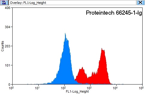 Flow cytometry (FC) experiment of HeLa cells using Annexin V Monoclonal antibody (66245-1-Ig)