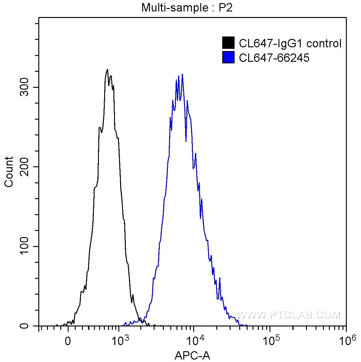 Annexin V