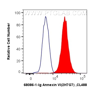 Flow cytometry (FC) experiment of K-562 cells using Annexin VI Monoclonal antibody (68086-1-Ig)