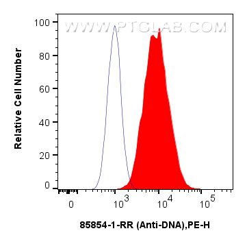 Flow cytometry (FC) experiment of HeLa cells using Anti-DNA Recombinant antibody (85854-1-RR)