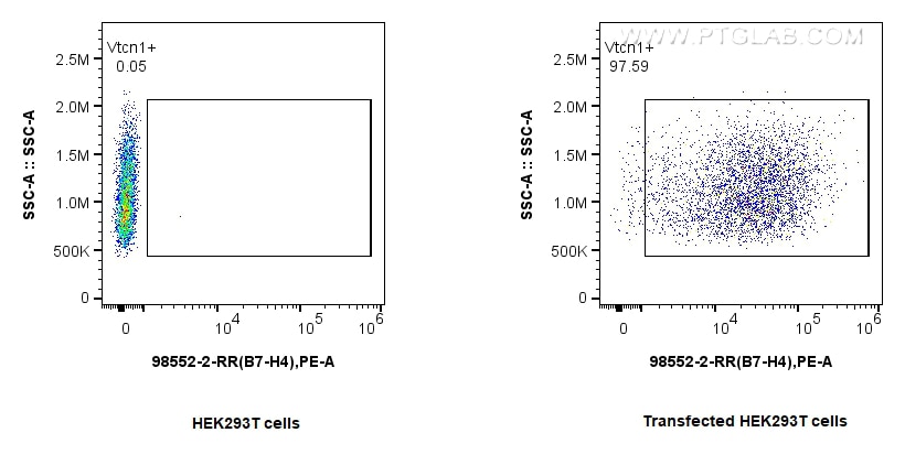 FC experiment of Transfected HEK-293T using 98552-2-RR Flow cytometry (FC) experiment of Transfected HEK-293T cells using Anti-Rat B7-H4 Rabbit Recombinant Antibody (98552-2-RR)