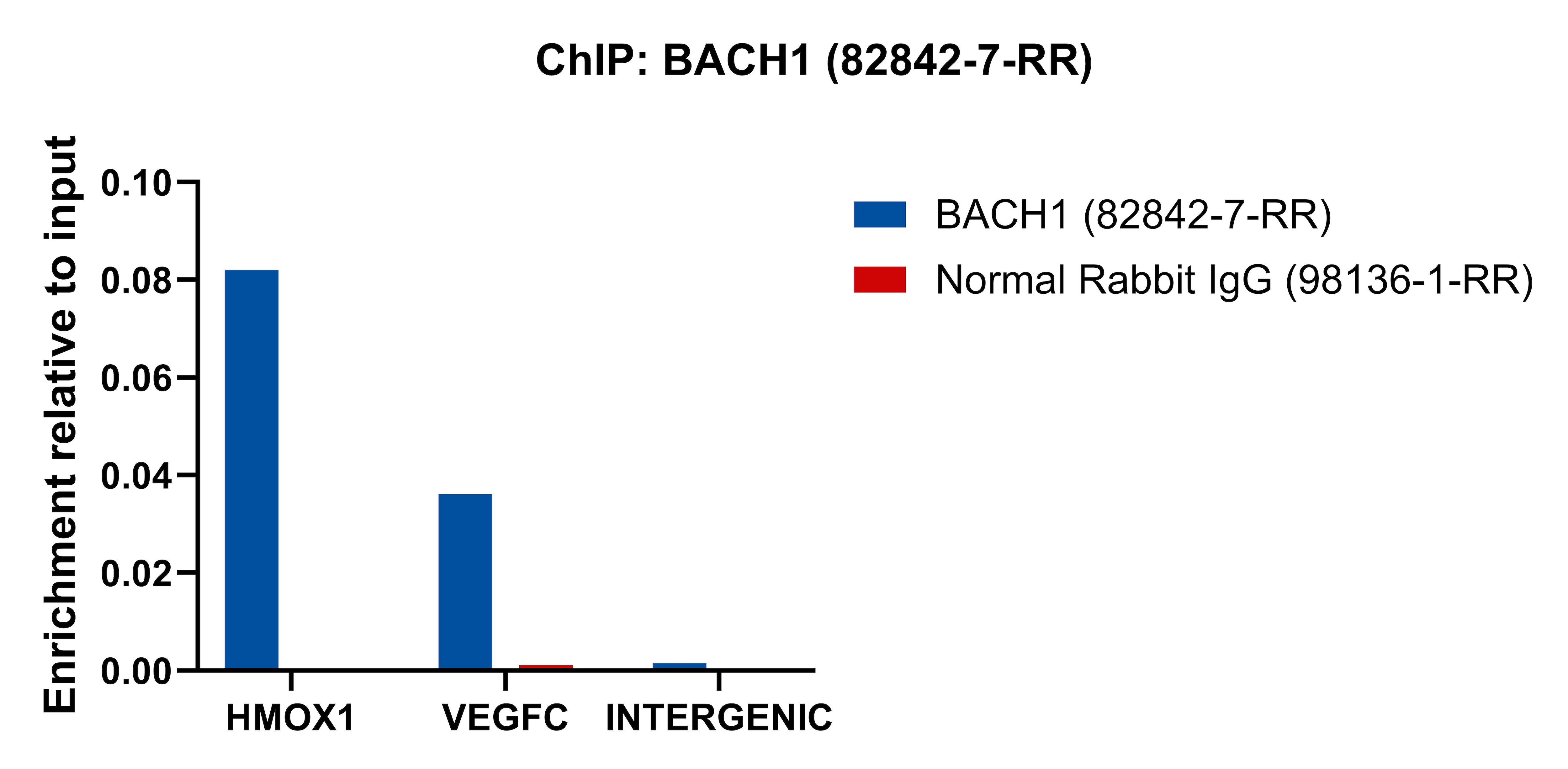 ChIP experiment of K-562 cells using BACH1 Recombinant monoclonal antibody (82842-7-RR)