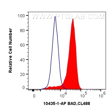 Flow cytometry (FC) experiment of Jurkat cells using BAD Polyclonal antibody (10435-1-AP)