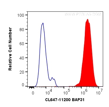 Flow cytometry (FC) experiment of HeLa cells using CoraLite® Plus 647-conjugated BAP31 Polyclonal ant (CL647-11200)