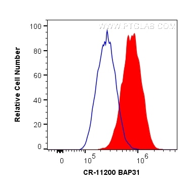 Flow cytometry (FC) experiment of HeLa cells using Cardinal Red™-conjugated BAP31 Polyclonal antibody (CR-11200)