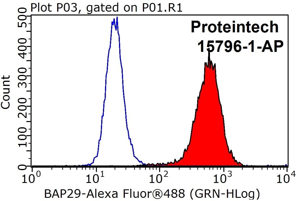 Flow cytometry (FC) experiment of HEK-293 cells using BAP29 Polyclonal antibody (15796-1-AP)
