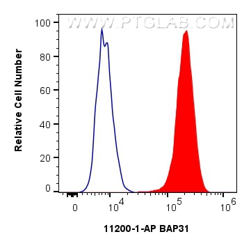 Flow cytometry (FC) experiment of HeLa cells using BAP31 Polyclonal antibody (11200-1-AP)