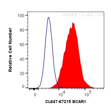 Flow cytometry (FC) experiment of HeLa cells using CoraLite® Plus 647-conjugated p130Cas / BCAR1 Mono (CL647-67215)