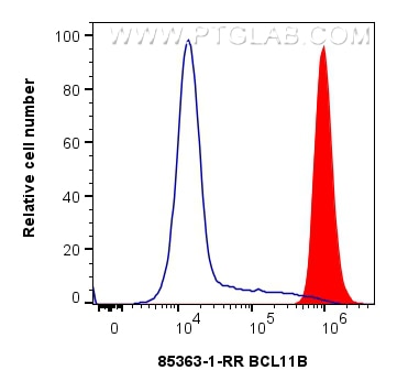 Flow cytometry (FC) experiment of Jurkat cells using BCL11B Recombinant antibody (85363-1-RR)