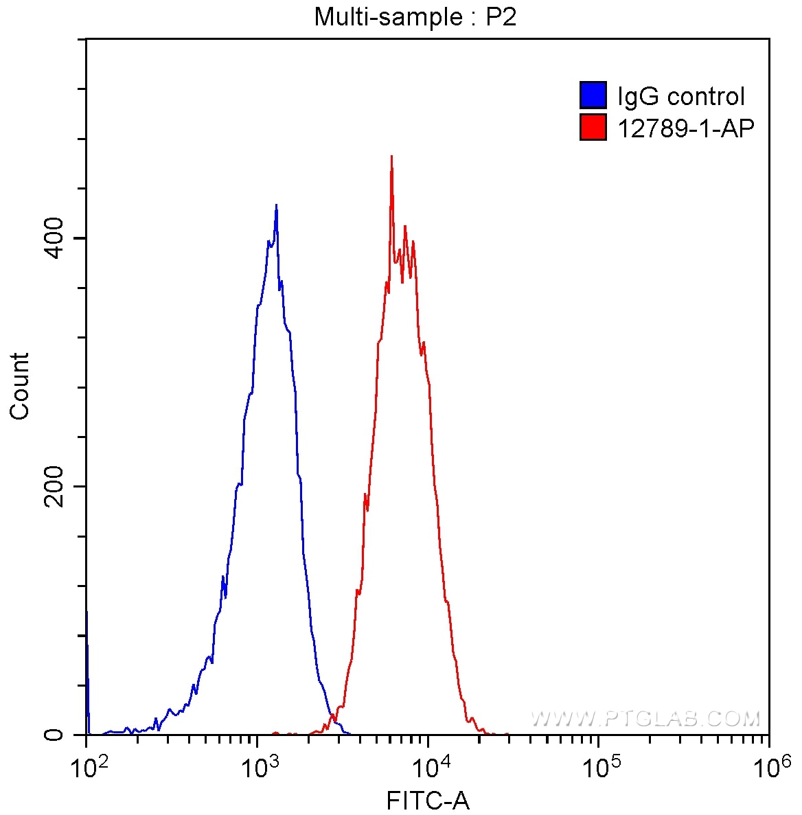 human BCL2