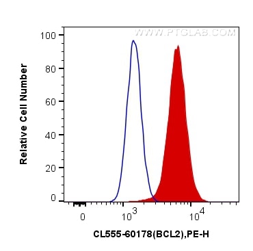 Flow cytometry (FC) experiment of HeLa cells using CoraLite®555-conjugated BCL2 Monoclonal antibody (CL555-60178)