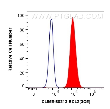 Flow cytometry (FC) experiment of Jurkat cells using CoraLite®555-conjugated BCL2 Recombinant antibody (CL555-80313)