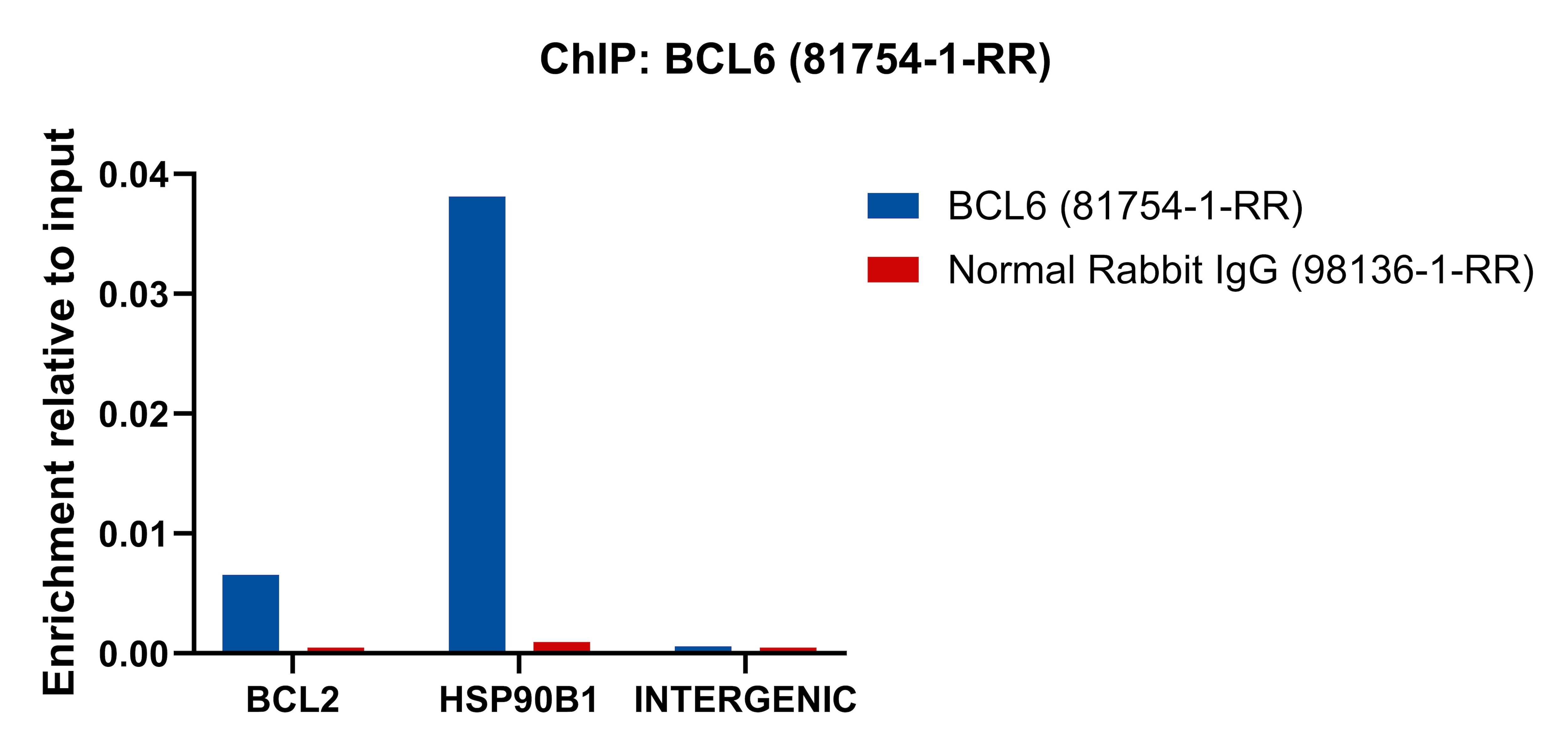 Chromatin was prepared from Raji cells. Cells were fixed with formaldehyde for 10 minutes. The ChIP was performed with 20 µg of cross-linked chromatin, 5 µg of BCL6 (81754-1-RR) or 5 ug of Normal Rabbit IgG (98136-1-RR), and 20 µl of Protein A Magarose Beads. The immunoprecipitated DNA was quantified by real-time PCR. ChIP experiment of Raji cells using BCL6 Recombinant monoclonal antibody (81754-1-RR)
