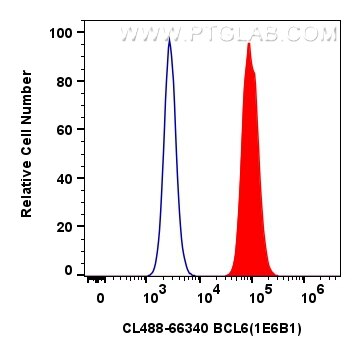 Flow cytometry (FC) experiment of Ramos cells using CoraLite®488-conjugated BCL6 Monoclonal antibody (CL488-66340)