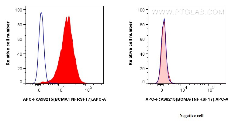 BCMA/TNFRSF17