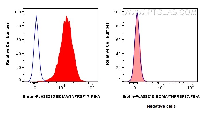 Flow cytometry (FC) experiment of U266 cells using FcZero-rAb® Biotin Anti-Human BCMA/TNFRSF17 Rabbit (Biotin-FcA98215)