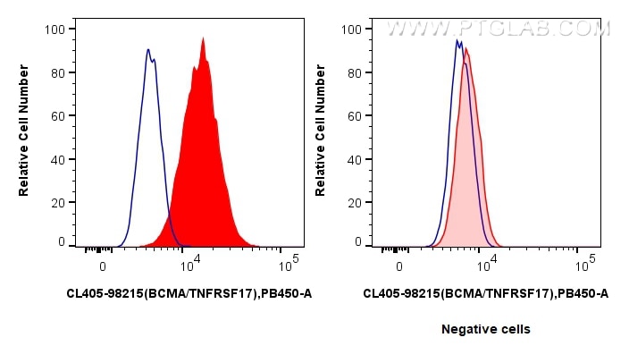 1x10^6 U266 cells (left) or HEK-293T cells(right) were surface stained with 5 ul CoraLite® Plus 405 Anti-Human BCMA/TNFRSF17 Rabbit RecAb (CL405-98215, Clone: 241731A11) (red) or CoraLite® Plus 405 Rabbit IgG Isotype Control RecAb (CL405-98136, Clone: 240953C9) (blue). Cells were not fixed. Flow cytometry (FC) experiment of U266 cells using CoraLite® Plus 405 Anti-Human BCMA/TNFRSF17 Rabbit (CL405-98215)