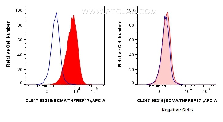 Flow cytometry (FC) experiment of U266 cells using CoraLite® Plus 647 Anti-Human BCMA/TNFRSF17 Rabbit (CL647-98215)