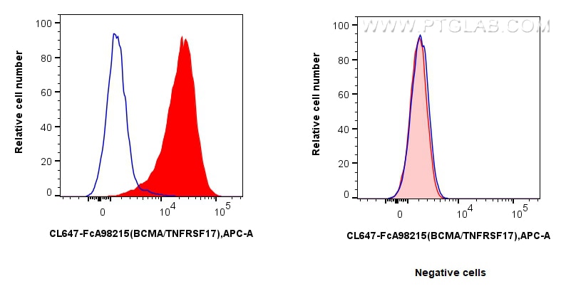 FC experiment of U266 using CL647-FcA98215 Flow cytometry (FC) experiment of U266 cells using FcZero-rAb® CoraLite® Plus 647 Anti-Human BCMA/TNF (CL647-FcA98215)