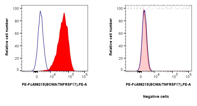 Flow cytometry (FC) experiment of U266 cells using FcZero-rAb™ PE Anti-Human BCMA/TNFRSF17 Rabbit Rec (PE-FcA98215)