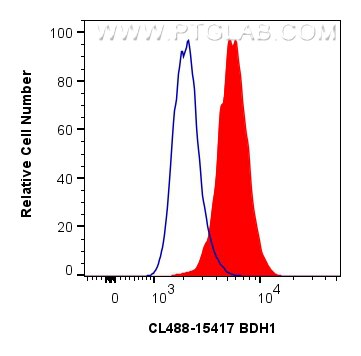 Flow cytometry (FC) experiment of HepG2 cells using CoraLite® Plus 488-conjugated BDH1 Polyclonal anti (CL488-15417)