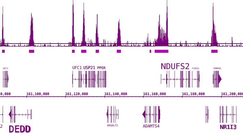 BRD3 antibody (pAb) tested by ChIP-Seq. ChIP was performed using the ChIP-IT High Sensitivity Kit (Cat. No. 53040) with 30 ug of chromatin from human H526 cells and 10 ul of antibody. ChIP DNA was sequenced on the Illumina HiSeq and 16 million sequence tags were mapped to show the expected promoter localization.