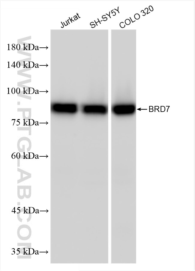 BRD7