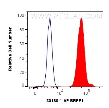 Flow cytometry (FC) experiment of HeLa cells using BRPF1 Polyclonal antibody (30186-1-AP)