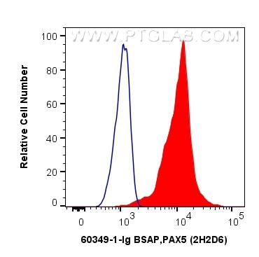 Flow cytometry (FC) experiment of Ramos cells using BSAP,PAX5 Monoclonal antibody (60349-1-Ig)