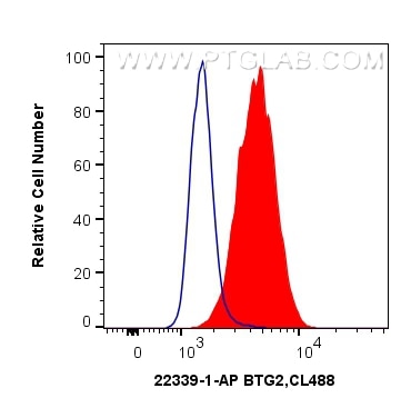 Flow cytometry (FC) experiment of Neuro-2a cells using BTG2 Polyclonal antibody (22339-1-AP)