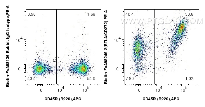 1x10^6 mouse splenocytes were surface stained with 0.25 ug Biotin Anti-Mouse BTLA/CD272 Rabbit RecAb (Biotin-FcA98246-2, Clone:242133A1) or FcZero-rAb™ Biotin Rabbit IgG Isotype Control Recombinant Antibody (Biotin-FcA98136, Clone: 240953C9), and Streptavidin-PE Conjugate (PE-PF00030). Cells were then stained with APC Anti-Mouse CD45R (B220). Cells were not fixed. Flow cytometry (FC) experiment of mouse splenocytes using FcZero-rAb™ Biotin Anti-Mouse BTLA/CD272 Rabbit Re (Biotin-FcA98246-2)