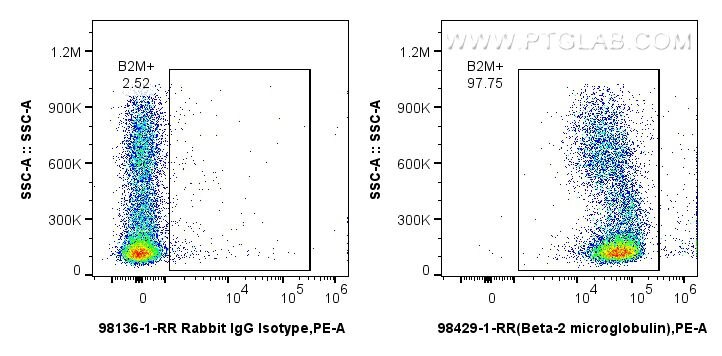1x10^6 rat bone marrow cells were surface stained with 0.25 ug Anti-Rat Beta-2-microglobulin Rabbit RecAb (98429-1-RR, Clone: 250092C5) or 0.25 ug Rabbit IgG Isotype Control RecAb (98136-1-RR, Clone: 240953C9), and PE-Conjugated Goat Anti-Rabbit IgG(H+L). Cells were not fixed. This data was developed using the same antibody clone with 98429-1-PBS in a different storage buffer formulation. Flow cytometry (FC) experiment of rat bone marrow cells using Anti-Rat Beta-2-Microglobulin Rabbit Recombinant A (98429-1-RR)