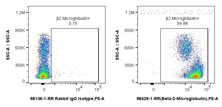 FC experiment of rat bone marrow cells using 98429-1-RR (same clone as 98429-1-PBS) Flow cytometry (FC) experiment of rat bone marrow cells using Anti-Rat Beta-2-Microglobulin Rabbit Recombinant A (98429-1-RR)
