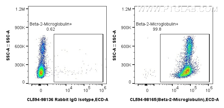 FC experiment of human PBMCs using CL594-98165 Flow cytometry (FC) experiment of human PBMCs using CoraLite®594 Anti-Human Beta-2-Microglobulin Rabbi (CL594-98165)