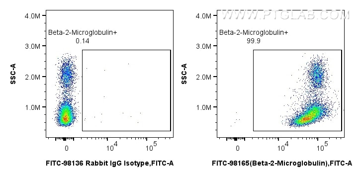 FC experiment of human PBMCs using FITC-98165 Flow cytometry (FC) experiment of human PBMCs using FITC Plus Anti-Human Beta-2-Microglobulin Rabbit R (FITC-98165)