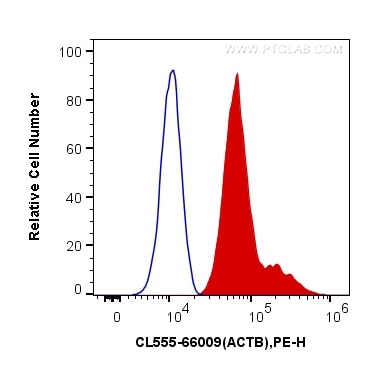 Flow cytometry (FC) experiment of HeLa cells using CoraLite®555-conjugated Beta Actin Monoclonal anti (CL555-66009)