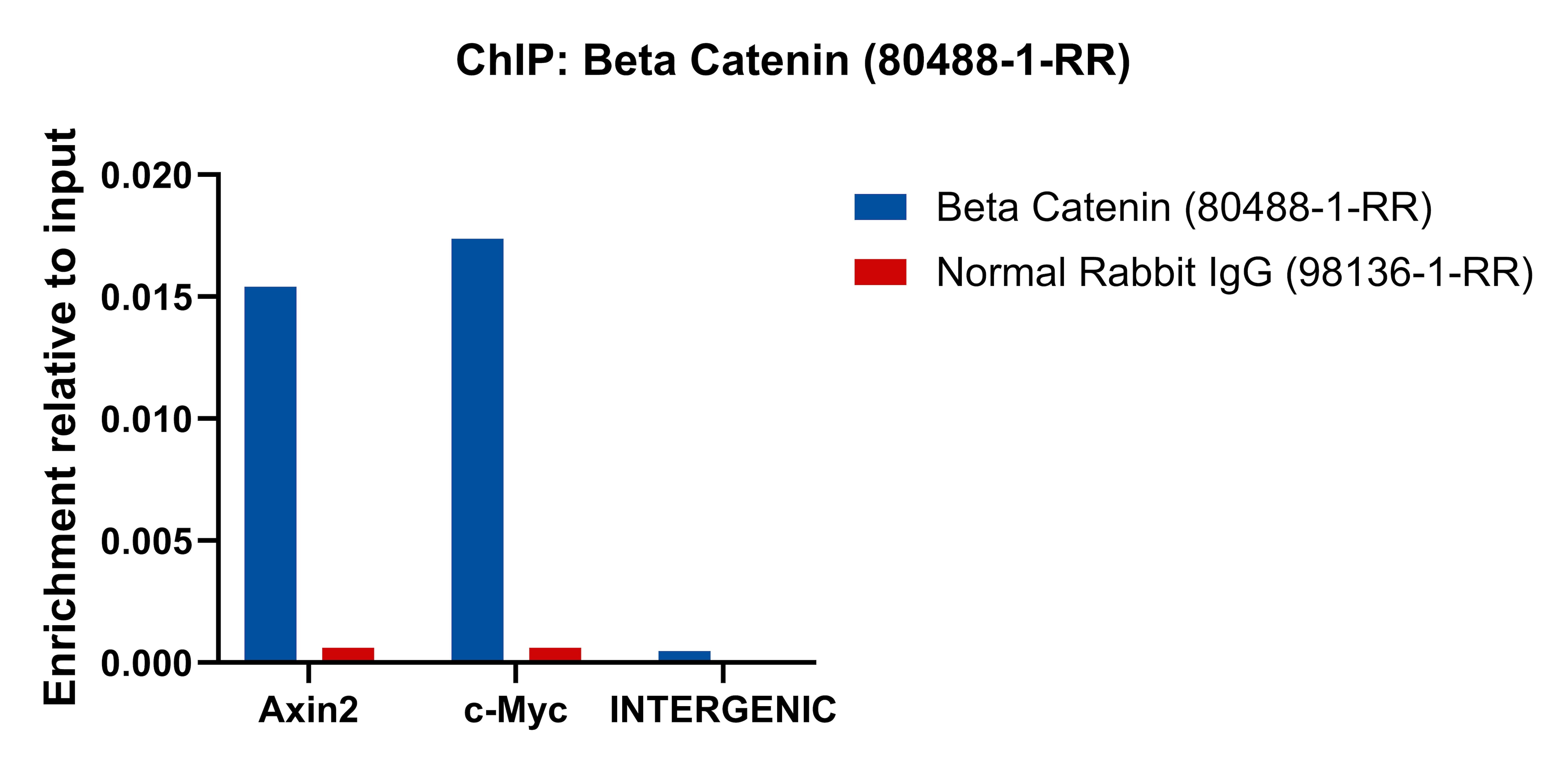 ChIP experiment of HCT 116 cells using Beta Catenin Recombinant monoclonal antibody (80488-1-RR)